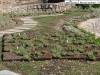 Particolare del Giardino Botanico realizzato da Maurizio del Piano a Boario