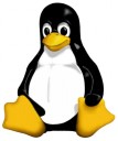 Il celebre pinguino Tux, logo ufficiale del kernel Linux